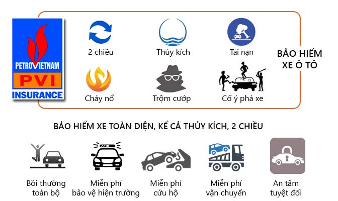 Giới thiệu PVI